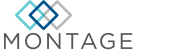 STORIS Partner Montage Logo